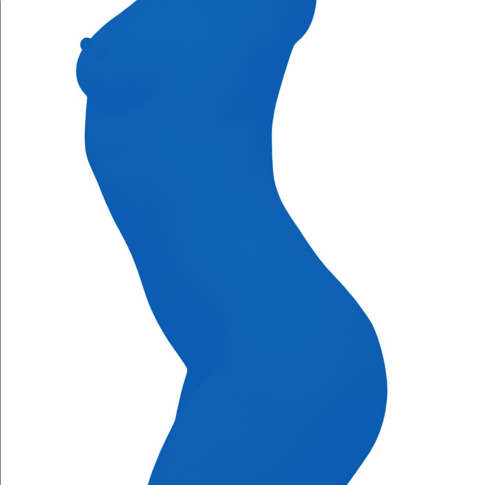 Henri Matisse inspired poster